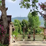 Vila Dzan